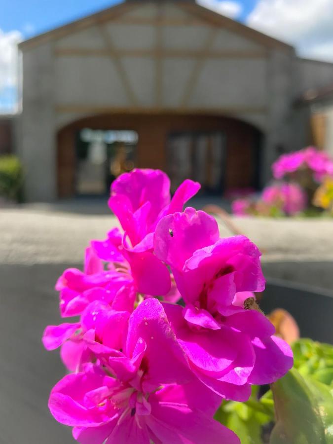Vakantieverblijf Alfzotmolen *