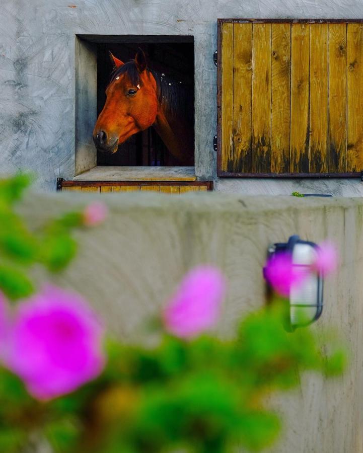 Vakantieverblijf Alfzotmolen Ferienhaus Beernem